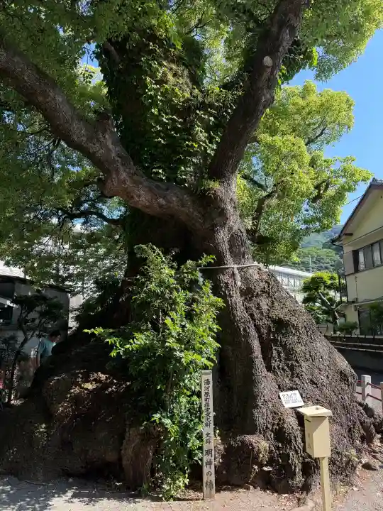 五所神社の{uncategorized: "未分類", other: "その他", undefined: "問題あり", building: "その他建物", grave: "お墓", sacred_gate: "鳥居", guardian: "狛犬", statue: "像", buddha: "仏像", history: "歴史", nature: "自然", garden: "庭園", animal: "動物", pagoda: "塔", temizu: "手水舎", mountain_gate: "山門・神門", sanctuary: "本殿・本堂", subordinate: "末社・摂社", art: "芸術", scenery: "景色", jizo: "地蔵", ema: "絵馬", goshuin: "御朱印", omikuji: "おみくじ", items: "授与品その他", amulet: "お守り", goshuincho: "御朱印帳", eats: "食事", festival: "お祭り", votive_dance: "神楽", shichigosan: "七五三参", wedding: "結婚式", experience: "体験その他", initially: "初詣", around: "周辺", anti_infection: "感染症対策"}