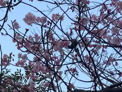 江島神社の{uncategorized: "未分類", other: "その他", undefined: "問題あり", building: "その他建物", grave: "お墓", sacred_gate: "鳥居", guardian: "狛犬", statue: "像", buddha: "仏像", history: "歴史", nature: "自然", garden: "庭園", animal: "動物", pagoda: "塔", temizu: "手水舎", mountain_gate: "山門・神門", sanctuary: "本殿・本堂", subordinate: "末社・摂社", art: "芸術", scenery: "景色", jizo: "地蔵", ema: "絵馬", goshuin: "御朱印", omikuji: "おみくじ", items: "授与品その他", amulet: "お守り", goshuincho: "御朱印帳", eats: "食事", festival: "お祭り", votive_dance: "神楽", shichigosan: "七五三参", wedding: "結婚式", experience: "体験その他", initially: "初詣", around: "周辺", anti_infection: "感染症対策"}