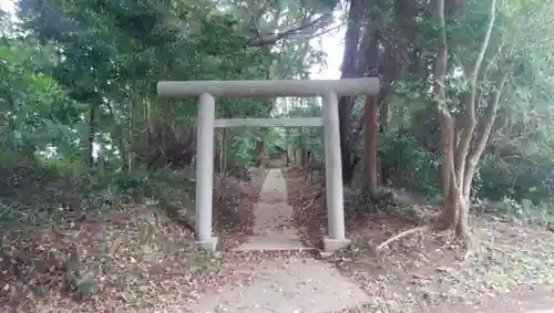 椿神社の鳥居