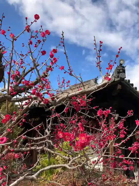 荘嚴浄土寺(大阪府)