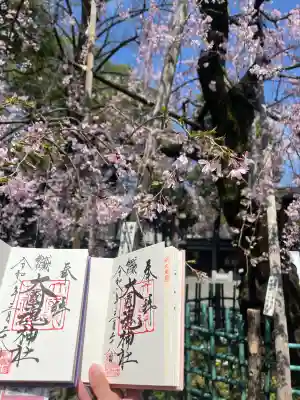 大國魂神社の御朱印