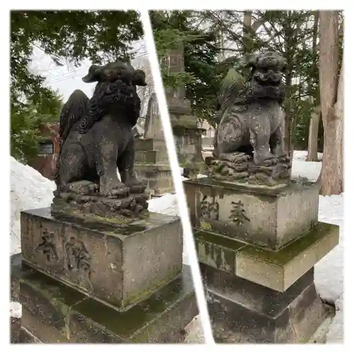 新琴似神社の狛犬