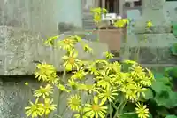 白山媛神社(新潟県)