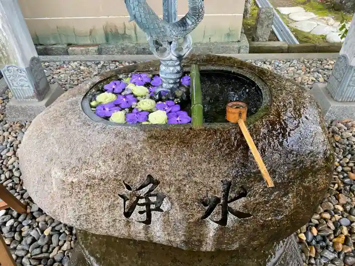 妙福寺の{uncategorized: "未分類", other: "その他", undefined: "問題あり", building: "その他建物", grave: "お墓", sacred_gate: "鳥居", guardian: "狛犬", statue: "像", buddha: "仏像", history: "歴史", nature: "自然", garden: "庭園", animal: "動物", pagoda: "塔", temizu: "手水舎", mountain_gate: "山門・神門", sanctuary: "本殿・本堂", subordinate: "末社・摂社", art: "芸術", scenery: "景色", jizo: "地蔵", ema: "絵馬", goshuin: "御朱印", omikuji: "おみくじ", items: "授与品その他", amulet: "お守り", goshuincho: "御朱印帳", eats: "食事", festival: "お祭り", votive_dance: "神楽", shichigosan: "七五三参", wedding: "結婚式", experience: "体験その他", initially: "初詣", around: "周辺", anti_infection: "感染症対策"}