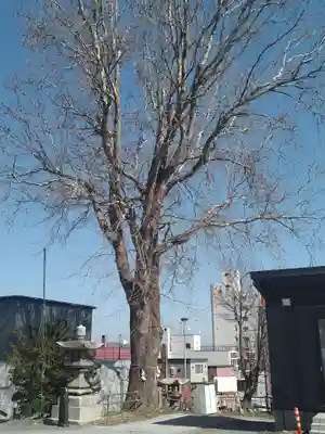 龍宮神社(北海道)
