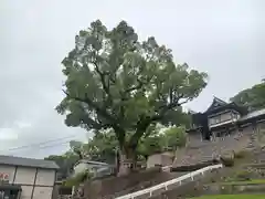 鎮西大社諏訪神社(長崎県)