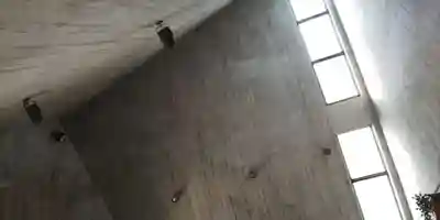 熊野神社衣笠分社の本殿・本堂