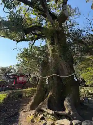 三嶋大社(静岡県)