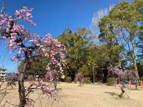 美奈宜神社の自然