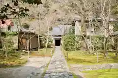 蓮華寺（洛北蓮華寺）の庭園