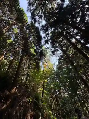 太龍寺奥の院 舎心ヶ嶽(徳島県)