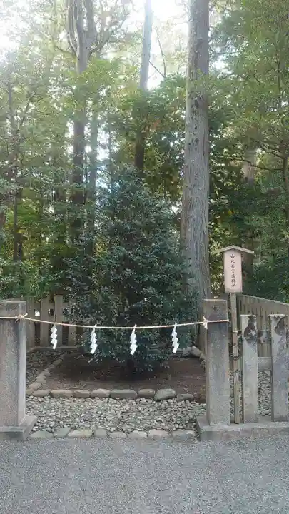 鶴岡八幡宮の自然