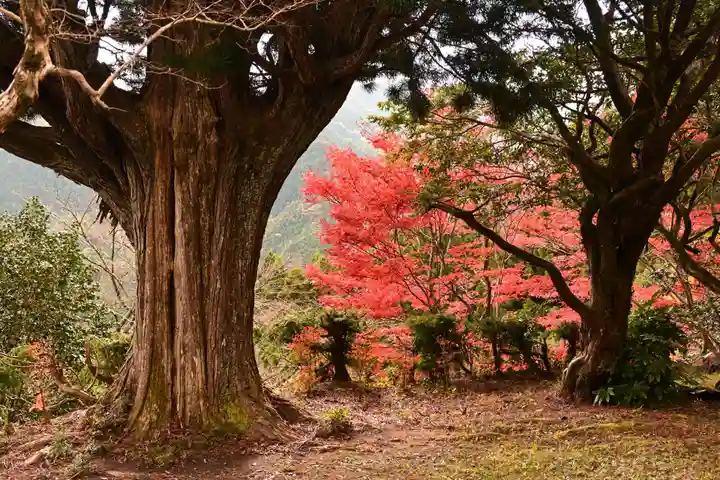 黒松寺(徳島県)