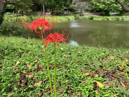 稱名寺(神奈川県)