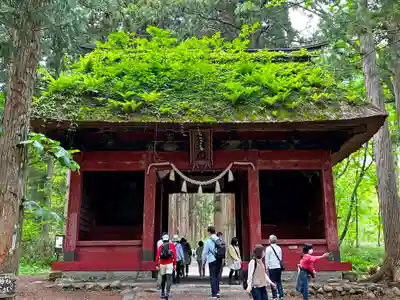 戸隠神社九頭龍社の山門・神門