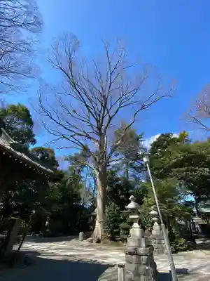 前鳥神社(神奈川県)