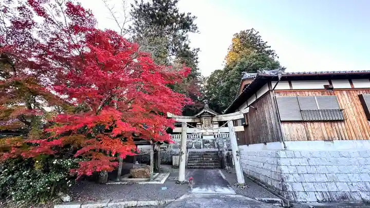 杉谷神社(滋賀県)