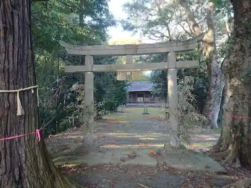 素盞雄社の鳥居