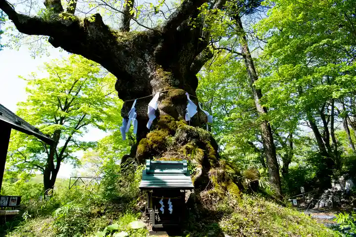 熊野皇大神社(長野県)