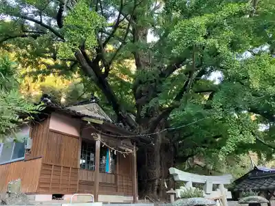 六御前神社(長崎県)