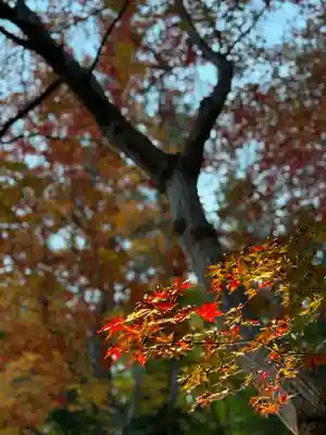 諏訪大社下社秋宮(長野県)