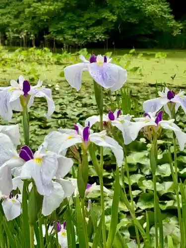 勧修寺(京都府)