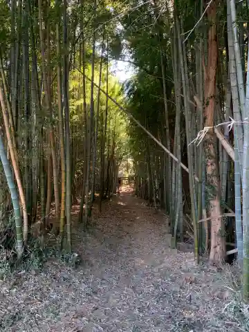諏訪大神(千葉県)