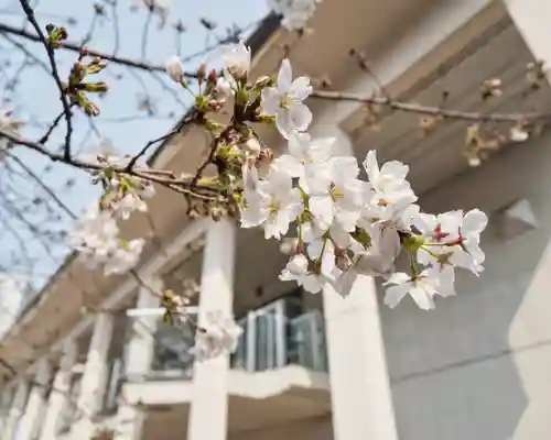 妙建山本立寺(東京都)
