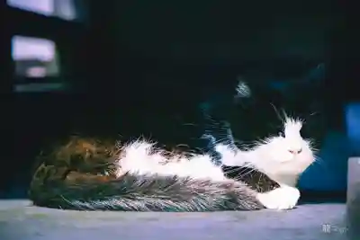 今市報徳二宮神社(栃木県)