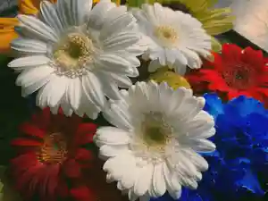 滑川神社 - 仕事と子どもの守り神(福島県)(2022年05月21日(土) 15時09分02秒投稿)