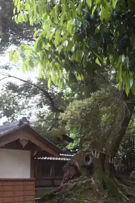 齋神社(滋賀県)