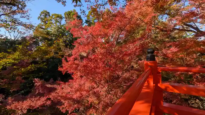 北野天満宮(京都府)