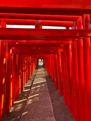 小泉稲荷神社の鳥居