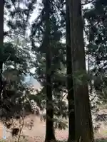 大宮温泉神社(栃木県)