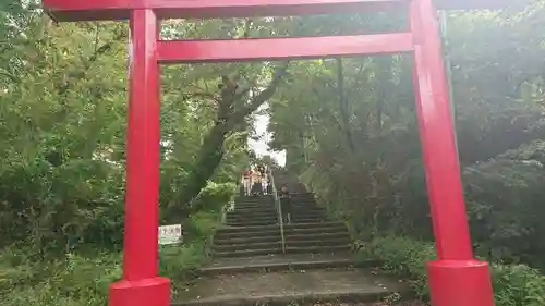 蒼柴神社の鳥居