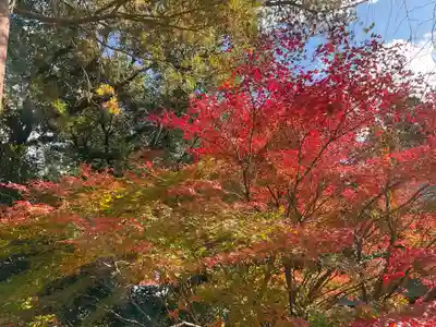 目の霊山　油山寺(静岡県)
