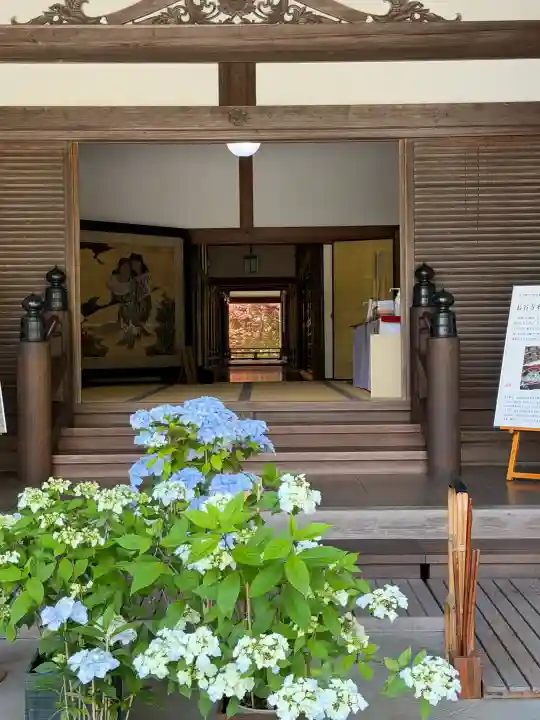 長谷寺本坊 大講堂の{uncategorized: "未分類", other: "その他", undefined: "問題あり", building: "その他建物", grave: "お墓", sacred_gate: "鳥居", guardian: "狛犬", statue: "像", buddha: "仏像", history: "歴史", nature: "自然", garden: "庭園", animal: "動物", pagoda: "塔", temizu: "手水舎", mountain_gate: "山門・神門", sanctuary: "本殿・本堂", subordinate: "末社・摂社", art: "芸術", scenery: "景色", jizo: "地蔵", ema: "絵馬", goshuin: "御朱印", omikuji: "おみくじ", items: "授与品その他", amulet: "お守り", goshuincho: "御朱印帳", eats: "食事", festival: "お祭り", votive_dance: "神楽", shichigosan: "七五三参", wedding: "結婚式", experience: "体験その他", initially: "初詣", around: "周辺", anti_infection: "感染症対策"}