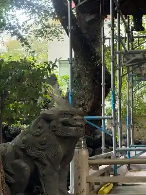 小野照崎神社(東京都)