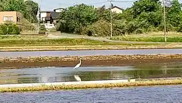 河獺弁天(史跡)(茨城県)