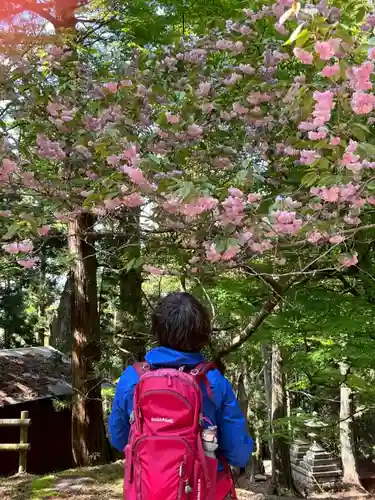 能勢妙見山（真如寺境外仏堂）(大阪府)