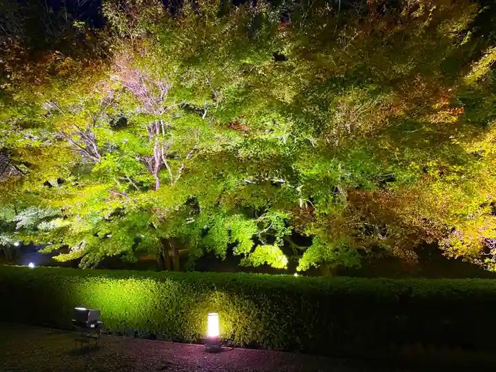 東寺(教王護国寺)(京都府)