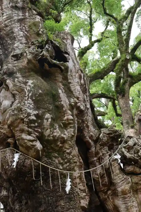 宇美八幡宮(福岡県)