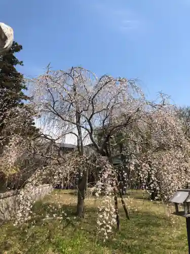 清滝寺の庭園