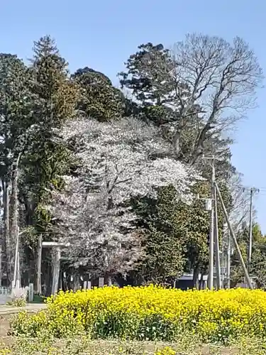 酒門神社の自然