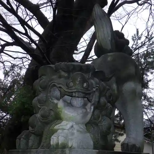 聖神社の狛犬