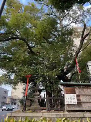 若一神社(京都府)