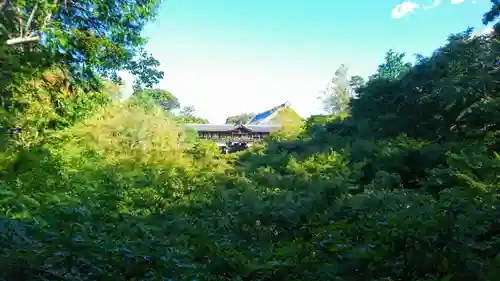 東福禅寺（東福寺）(京都府)