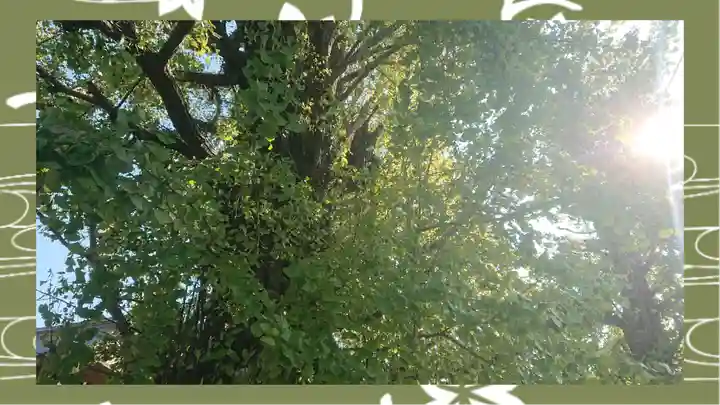 飛木稲荷神社(東京都)