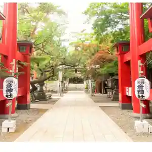 彌彦神社 (伊夜日子神社)の景色(2024年07月23日(火) 10時01分56秒投稿)