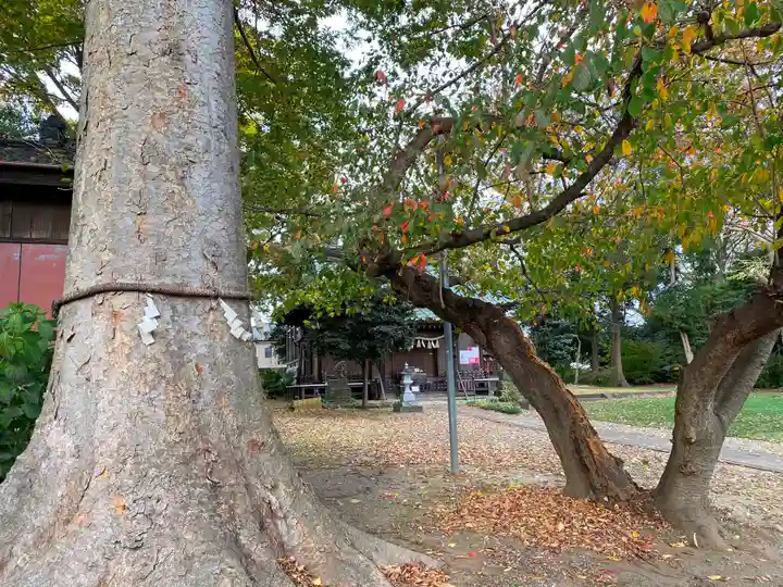 姫宮神社の自然